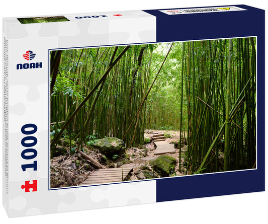 Path through dense bamboo forest, leading to famous Waimoku Falls. Popular Pipiwai trail in Haleakala National Park on Maui, Hawaii