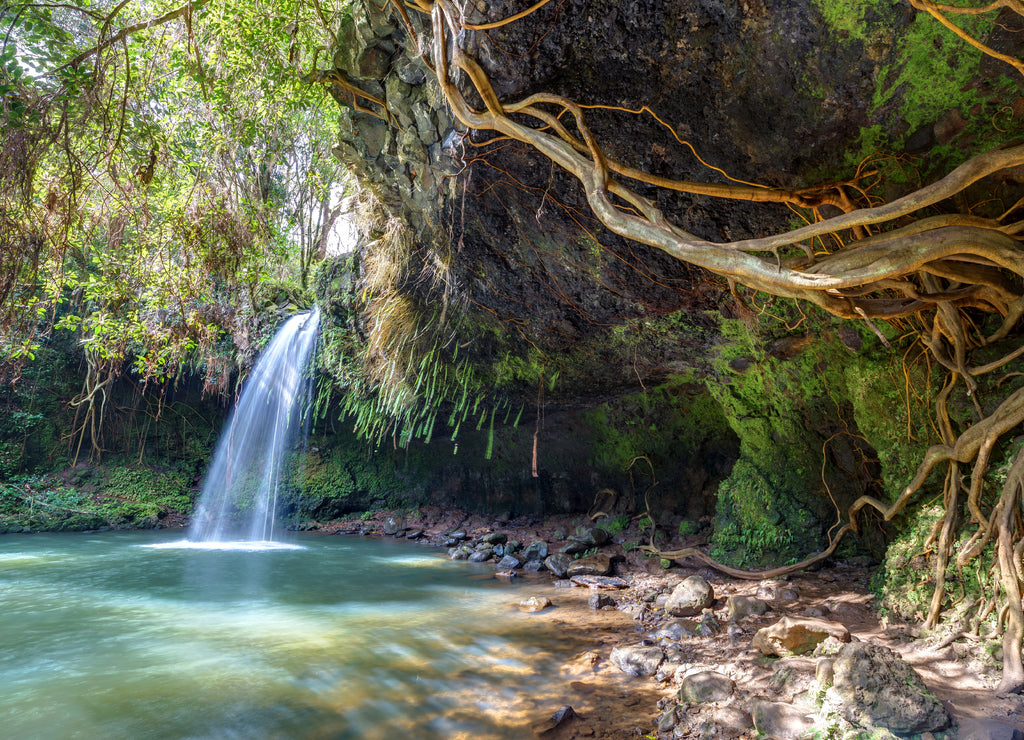 lush and green wilderness of twin falls, Maui, Hawaii. a great attraction on the road to hana where you can swim under the falls