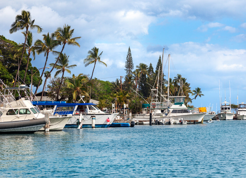 Motorboats and sailboats docked in the harbor at Lahaina, Maui, Hawaii