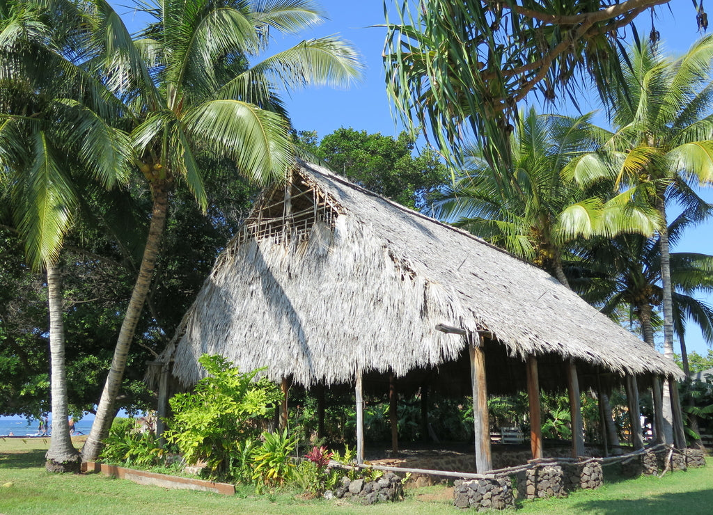 a building with a thatched roof in Lahaina on Maui island, Hawaii, January