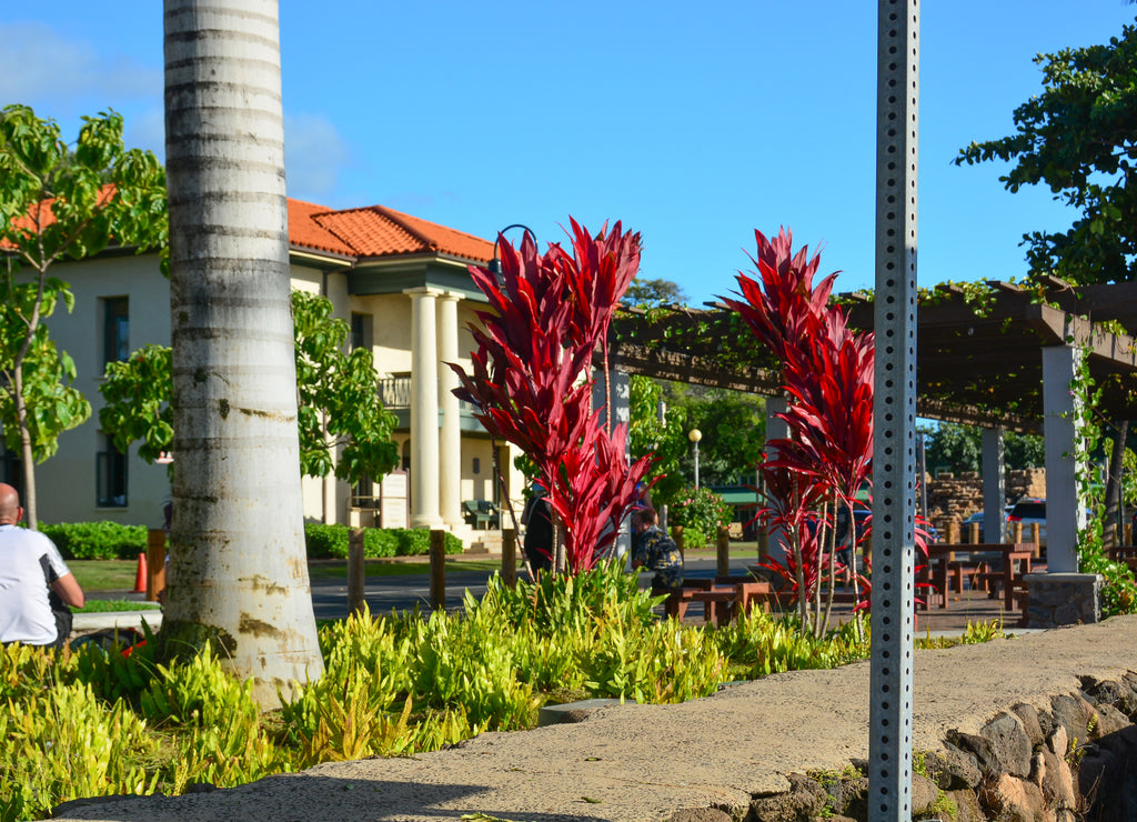 Historical Lahaina In Maui, Hawaiian Islands