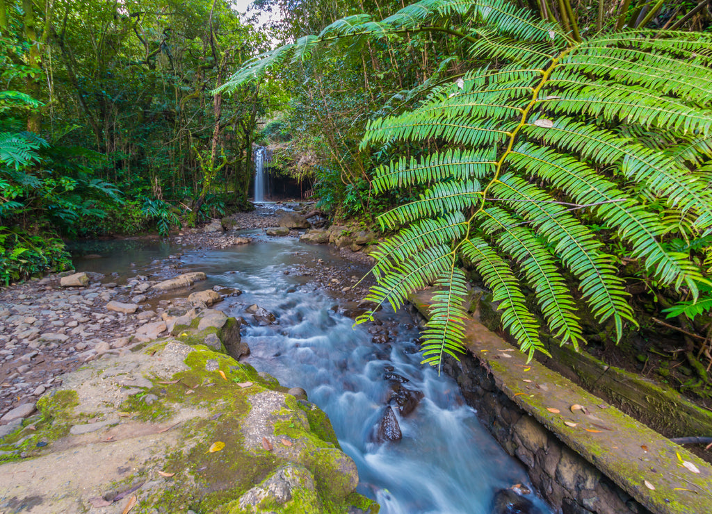 Ho'olawa Stream Flows Over Caveman Falls in The Ko'olau Rain Forest, Maui, Hawaii, USA