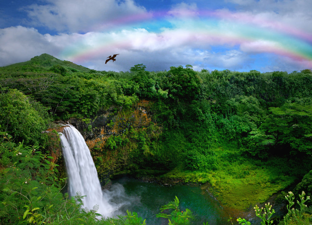Waterfall in Kauai With Rainbow and Bird Overhead