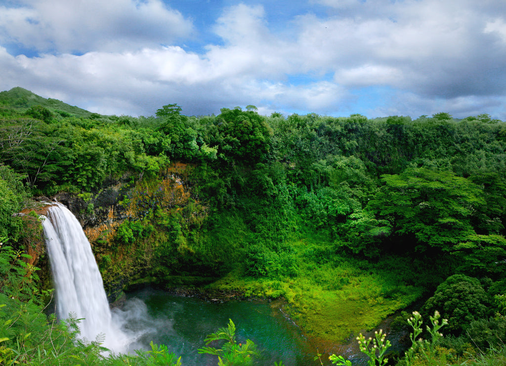 Lush Green Landscape Waterfall on the Hawaiian Islands