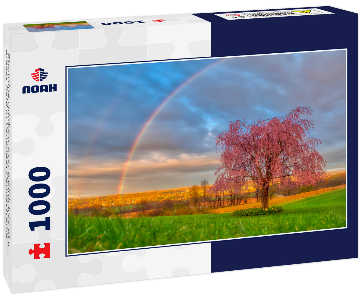 Stunning rainbow over a pink tree at a grassy field in Venango, Pennsylvania
