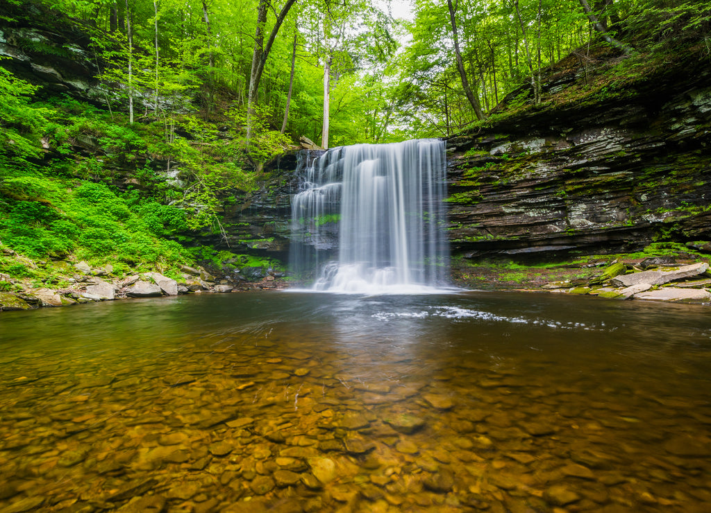 Harrison Wright Falls, at Ricketts Glen State Park, Pennsylvania