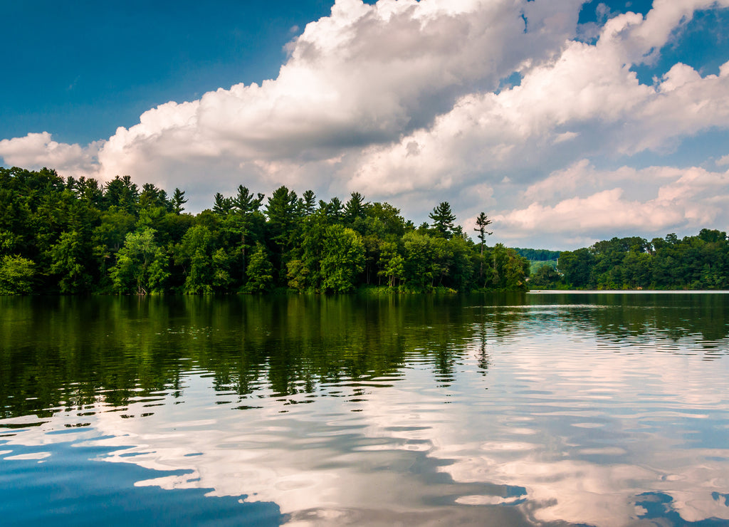 Clouds and trees reflecting in Lake Williams, in York, Pennsylvania