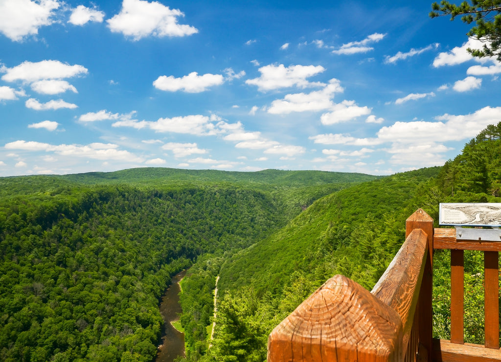 Pine Creek Gorge, also called the Grand Canyon of Pennsylvania. A 47 mile long, 1000 foot deep gorge that winds through north-central Pennsylvania