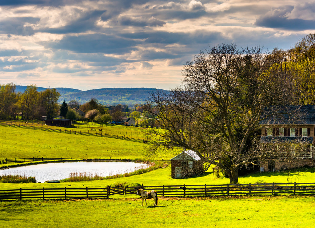 Pond and house on a farm in rural York County, Pennsylvania