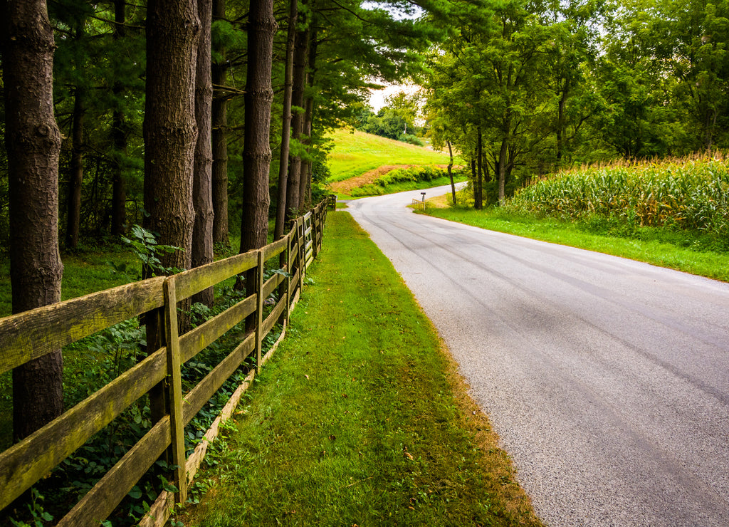 Trees and fence along a dirt road in rural York County, Pennsylvania