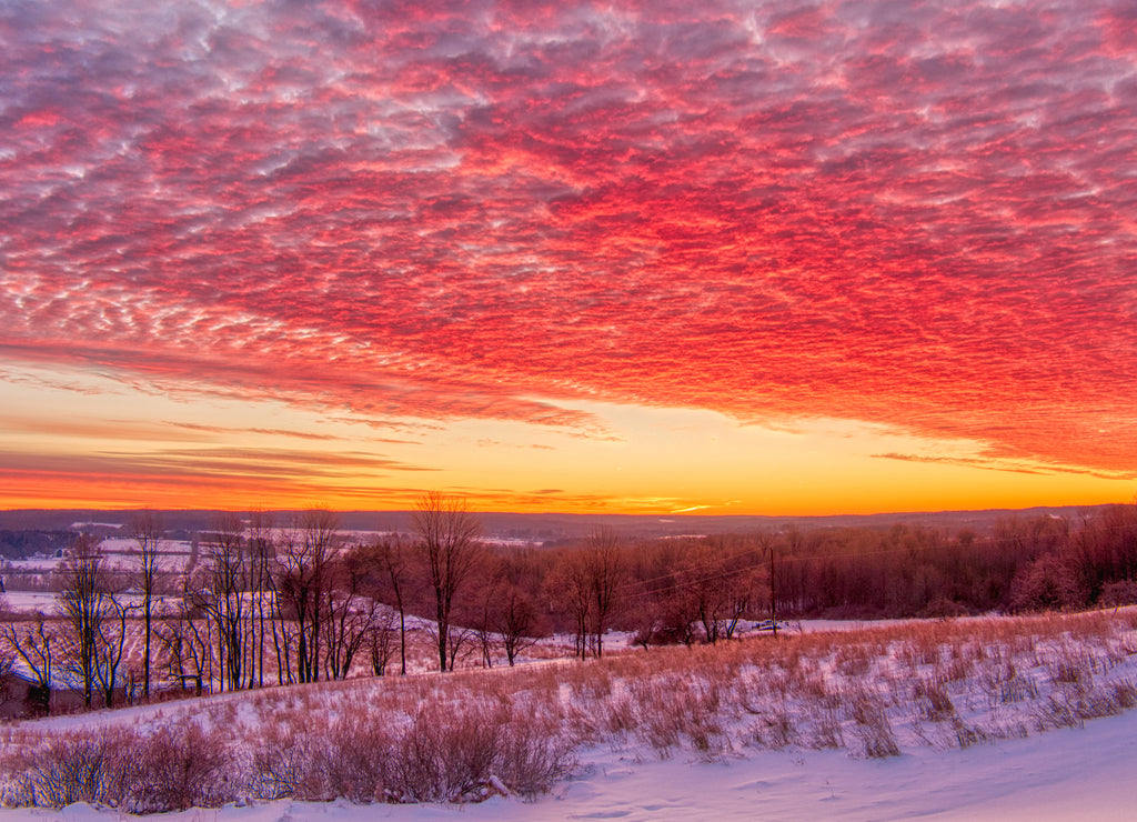 A beautiful winter sunrise over the northwest Pennsylvania valley with pink and blue clouds on fire, snow on the ground, switch grass poking up through the snow and bare trees