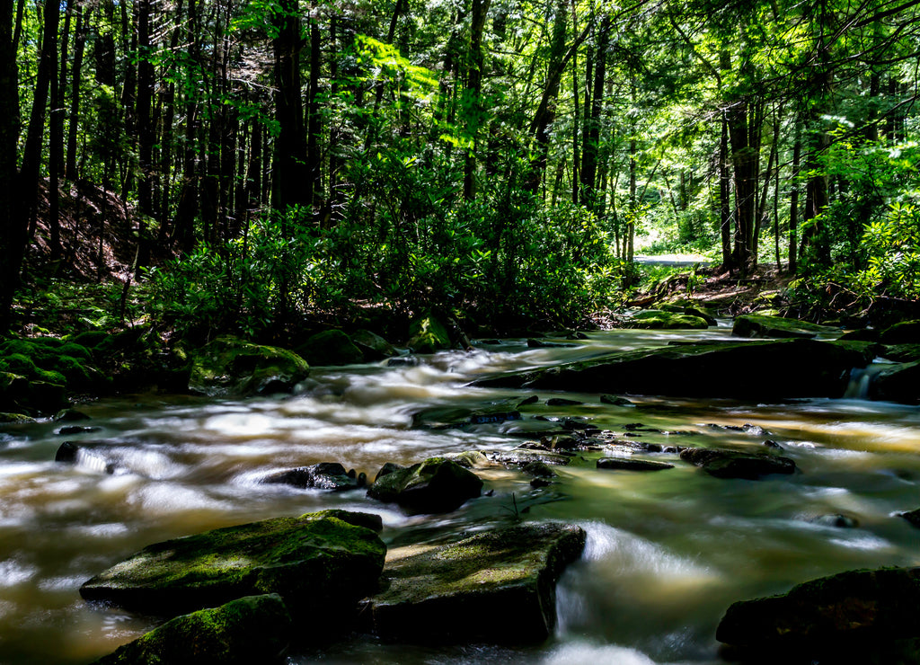 flowing stream long exposure warren pennsylvania