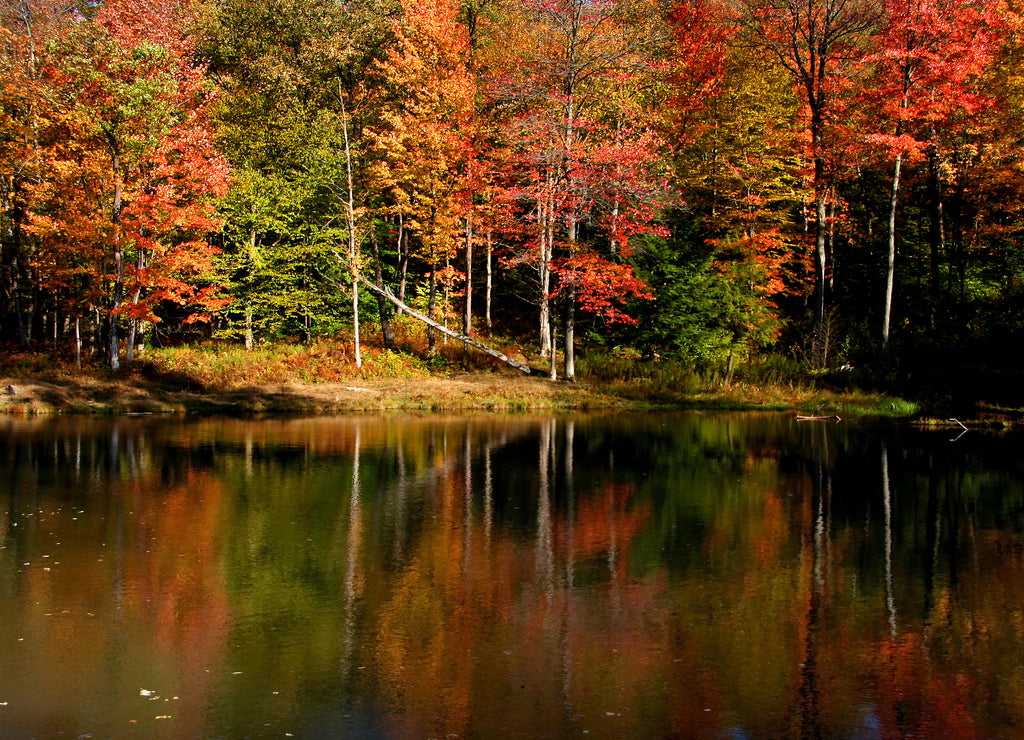 Autumn landscape in Pennsylvania