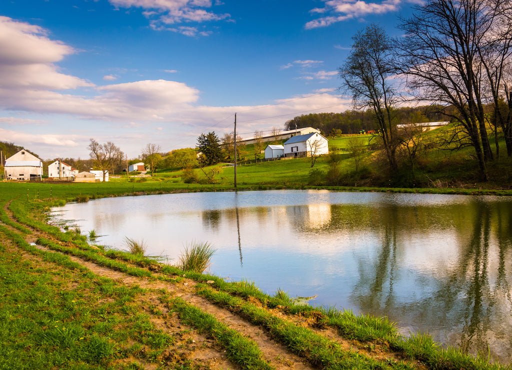 Pond in rural York County, Pennsylvania