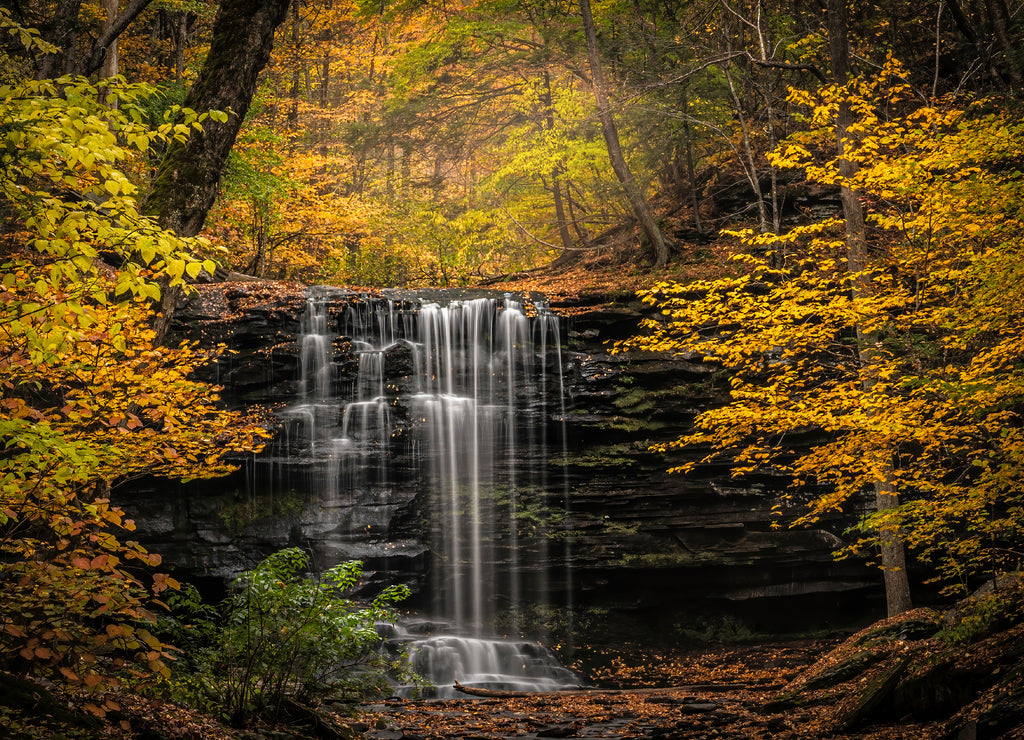 USA, Pennsylvania, Ricketts Glen State Park. Autumn forest and waterfalls