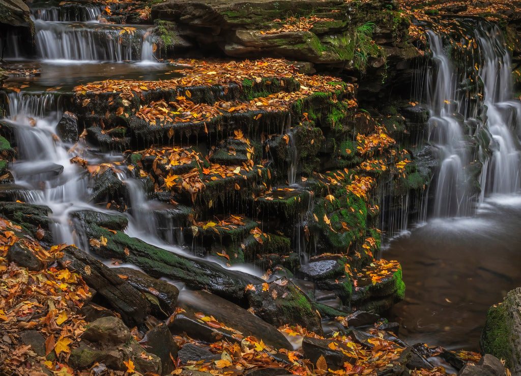 USA, Pennsylvania, Ricketts Glen State Park. Waterfalls cascade