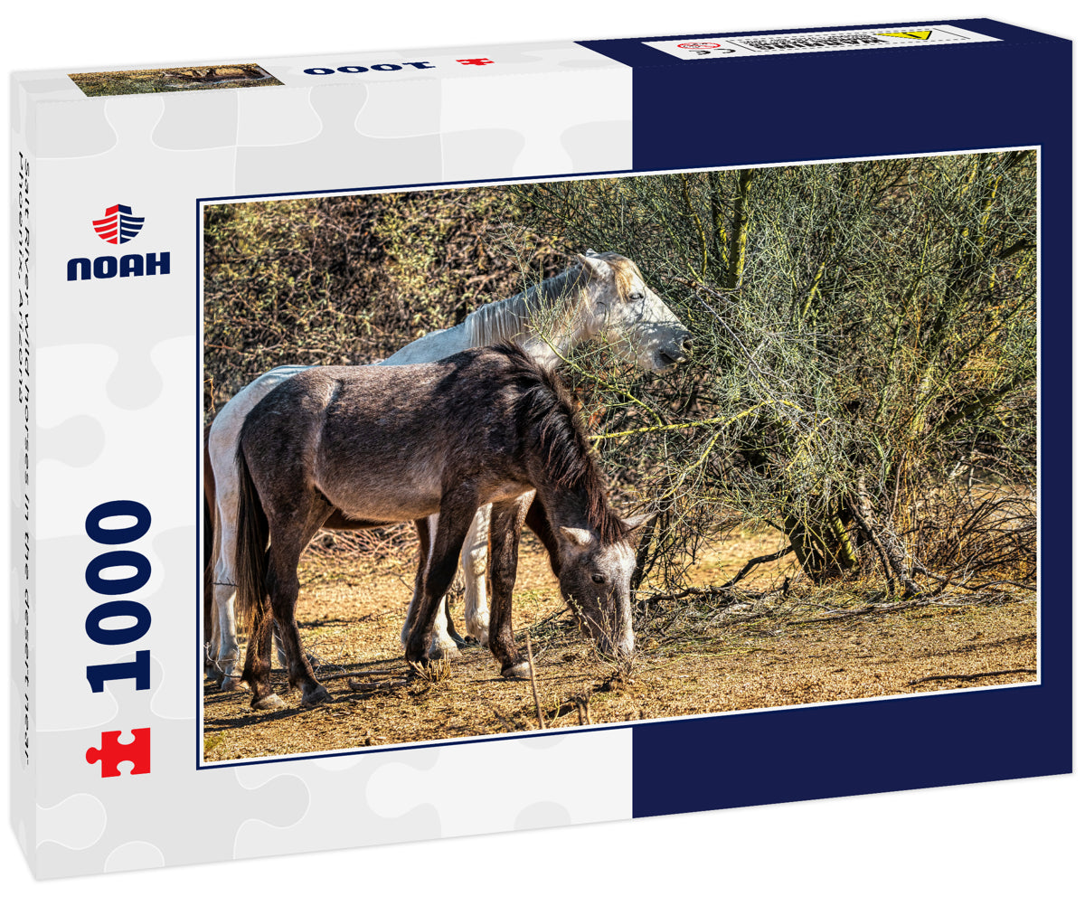 Salt River wild horses in the desert near Phoenix, Arizona