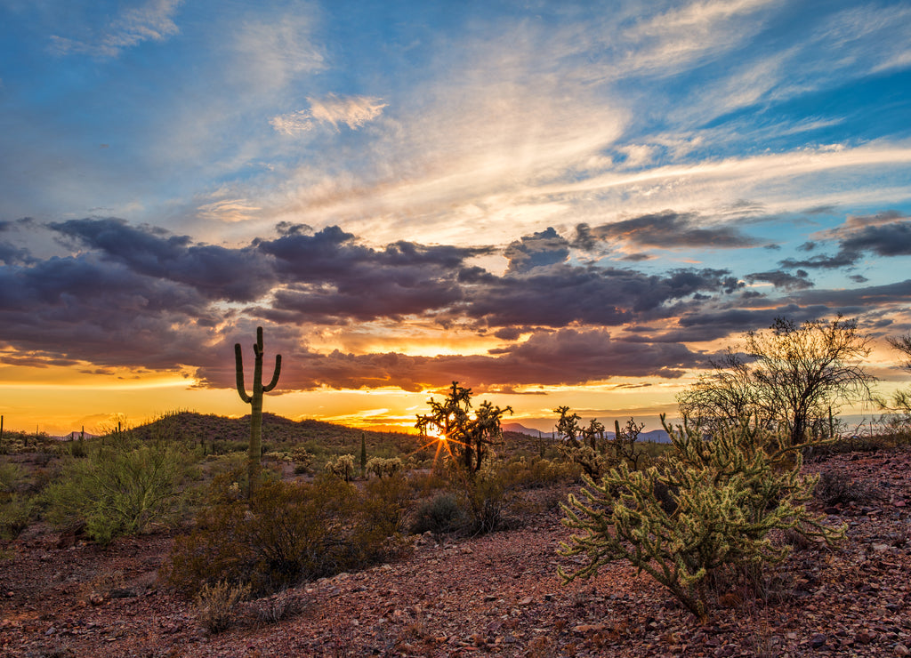 Arizona desert sunset