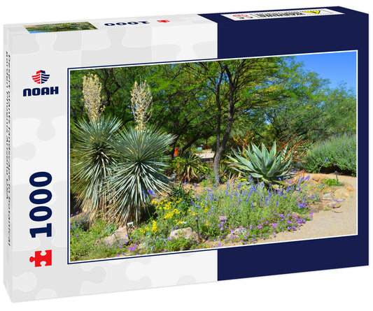 Desert plants landscape in botanical garden Phoenix Arizona USA