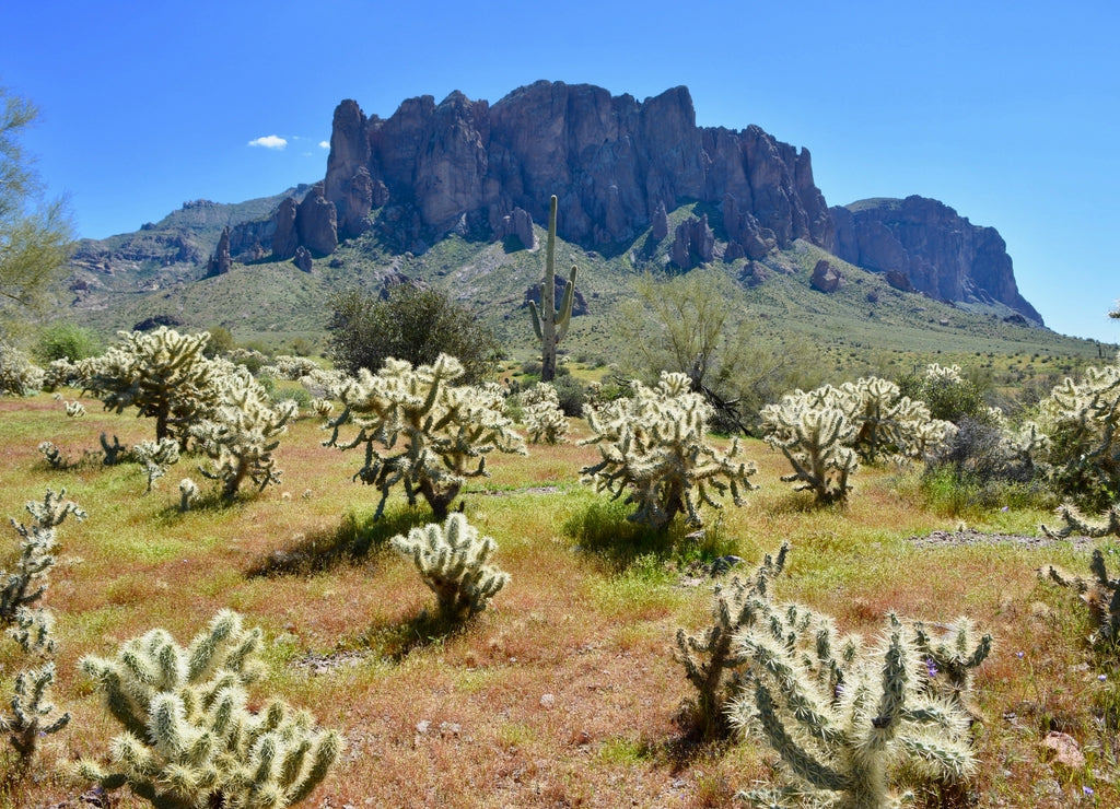 Superstition Mountains Mountain Wilderness Phoenix Arizona Desert
