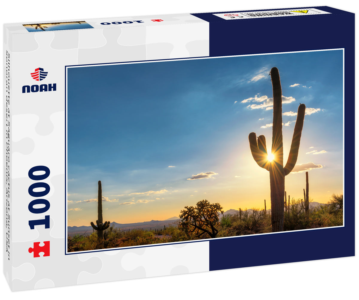 Silhouette at Saguaro cactus at Sunset in Sonoran desert in Phoenix, Arizona, USA