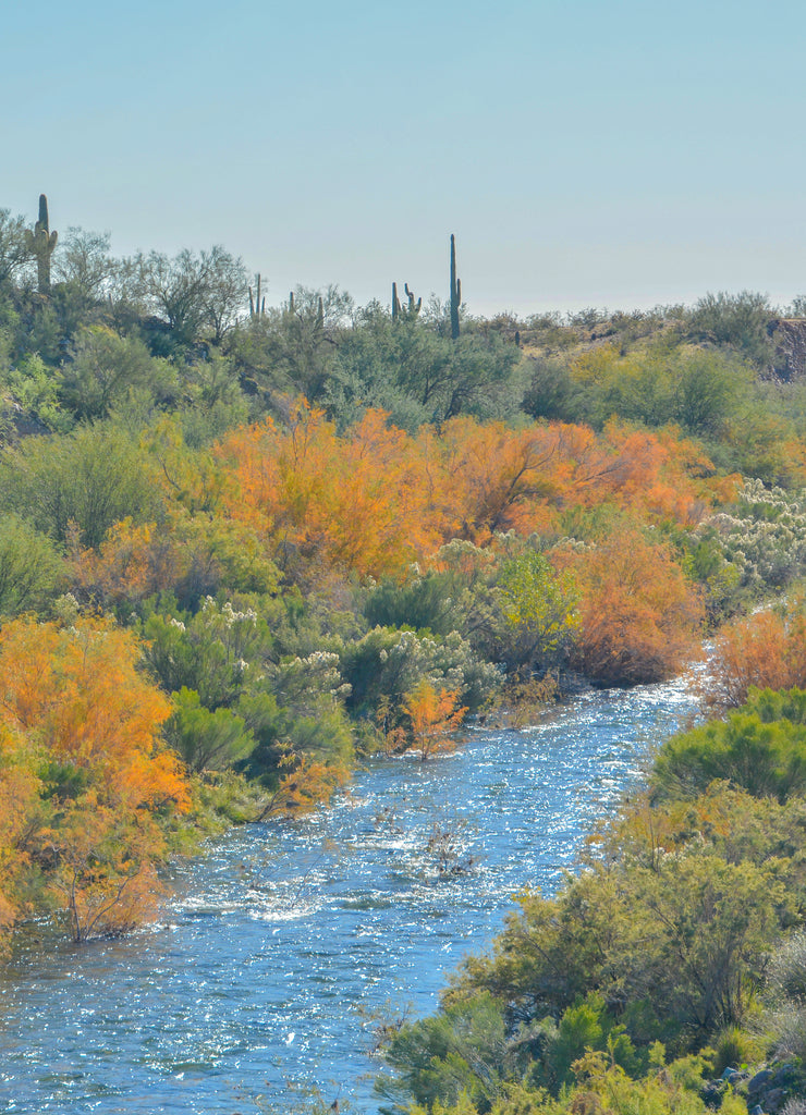 Agua Fria River in the southwest desert of Peoria, Maricopa County, Arizona USA