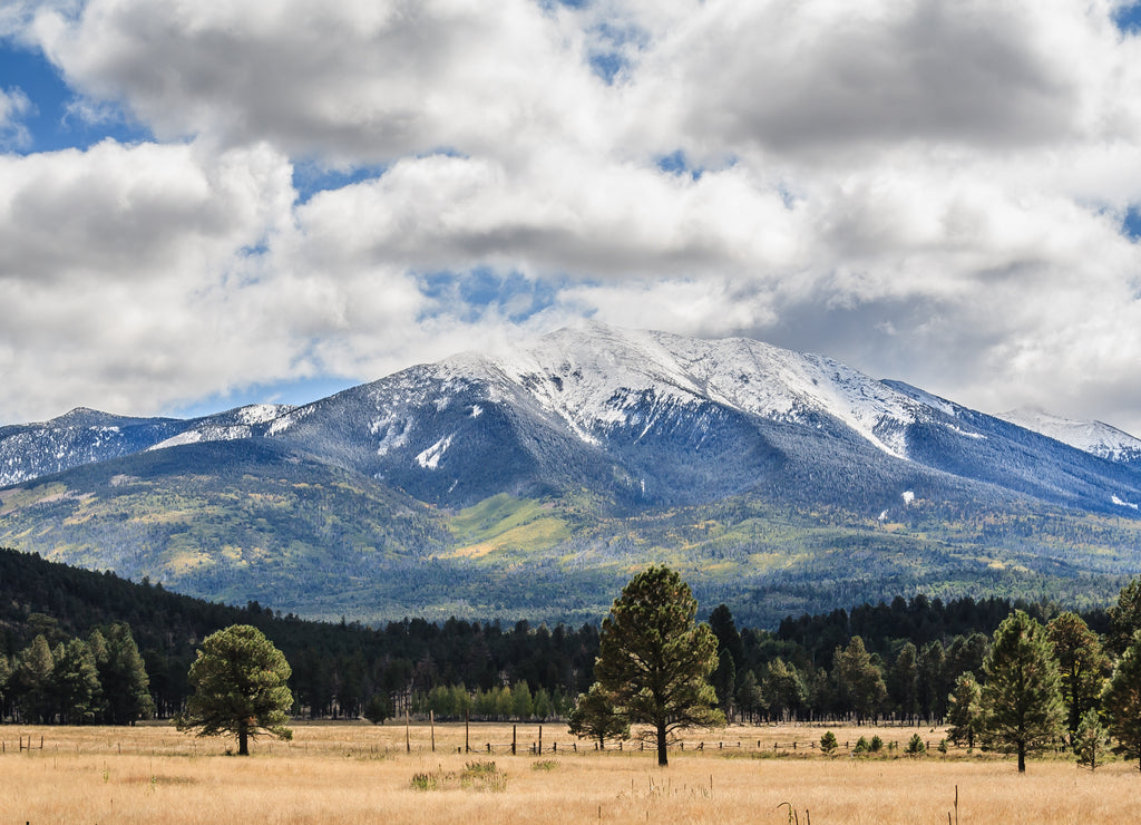 San Francisco Peaks with Snow, Flagstaff, Arizona