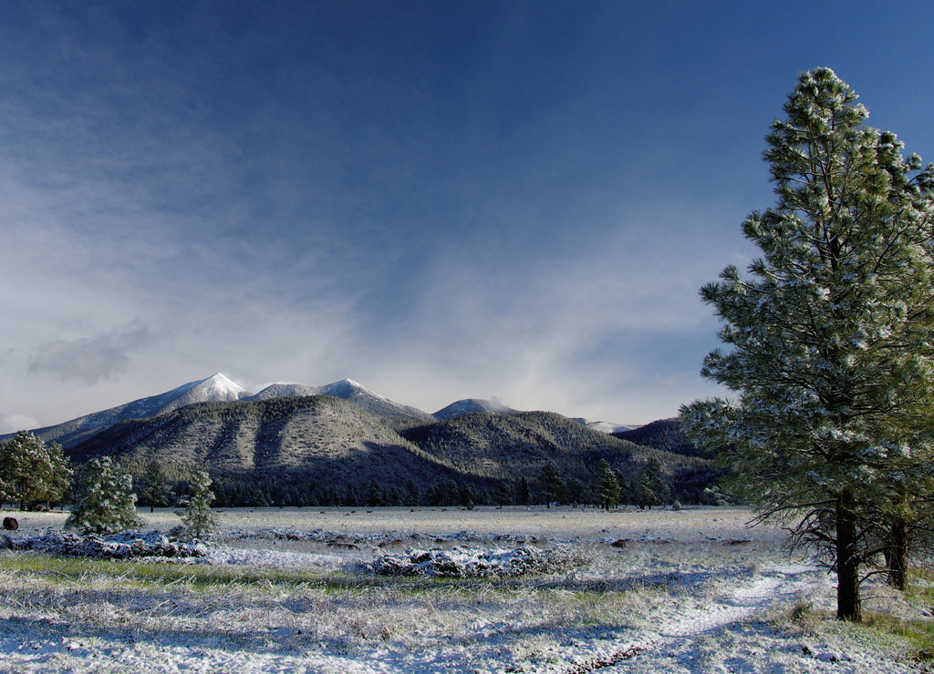 May snow, Buffalo Park, Flagstaff, Arizona