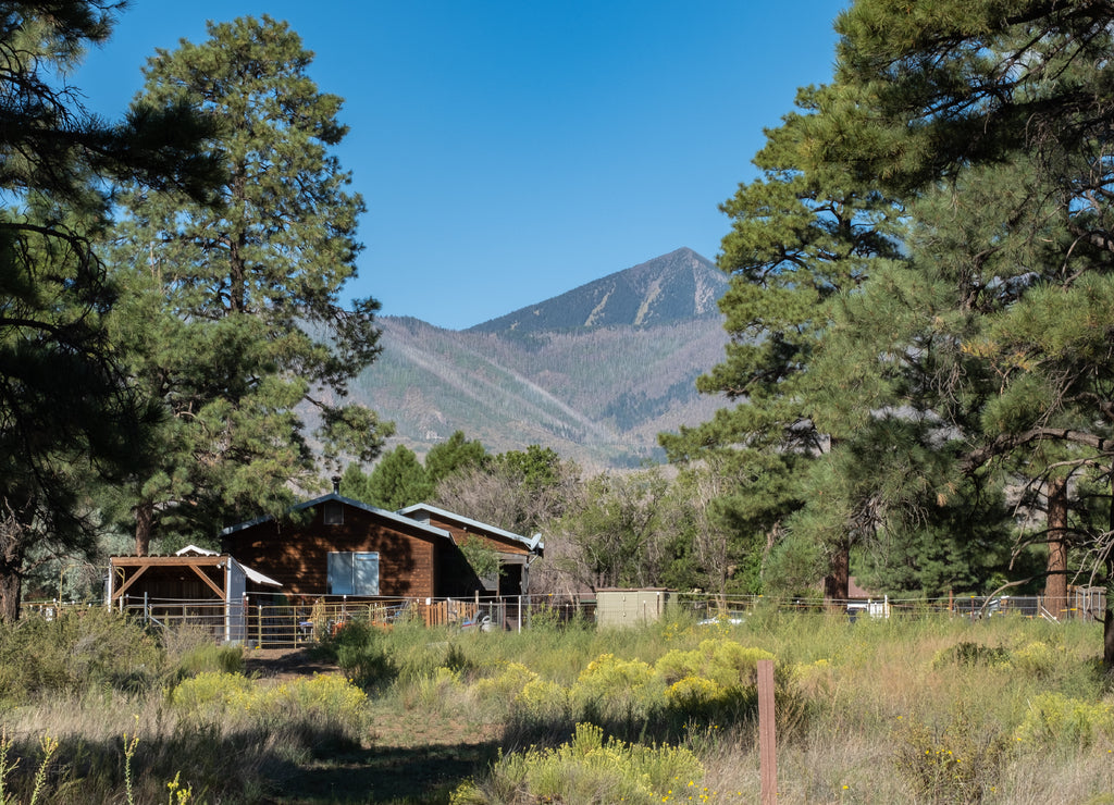 Farm house and old cars, flagstaff, Arizona