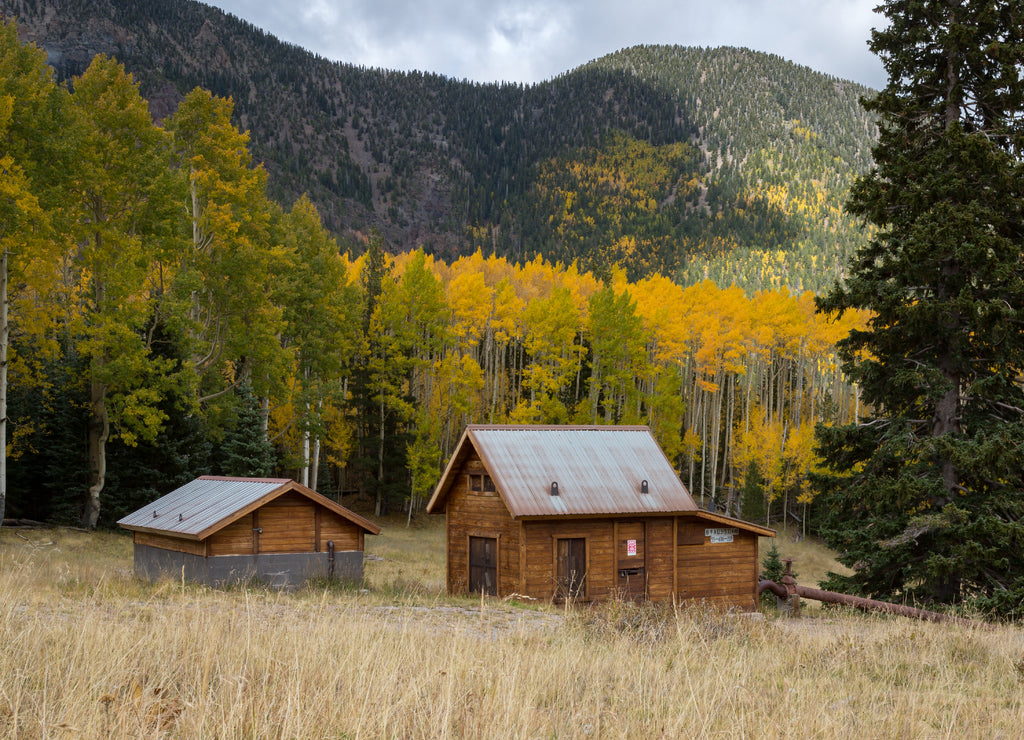The Inner Basin Trail in Flagstaff Arizona