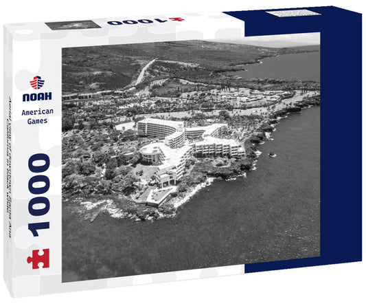 Noah Jigsaw Puzzle Aerial view of downtown Santa Ana, California in black white 1000 pieces