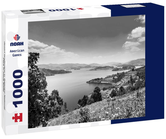 Noah Jigsaw Puzzle desert landscape in Saguaro National Park in black white 1000 pieces