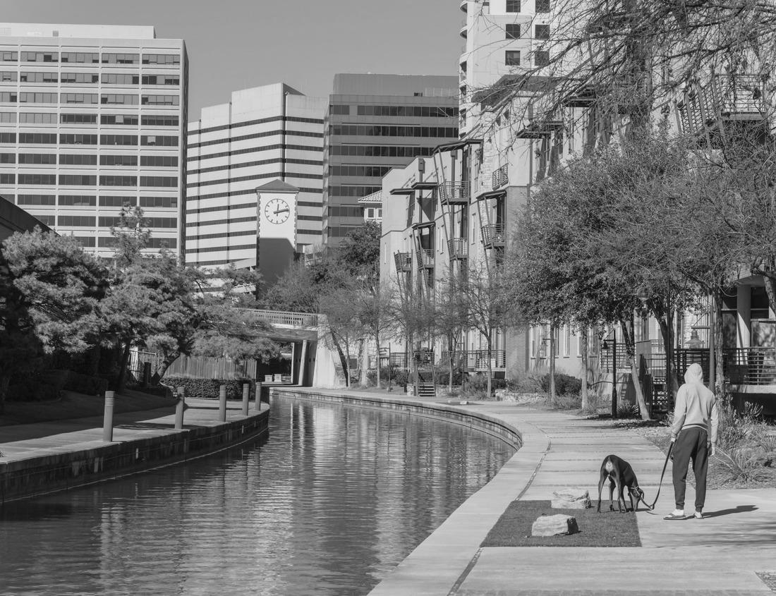 Noah Jigsaw Puzzle Grote Markt of Antwerp, Belgium at twilight in black white 1000 pieces