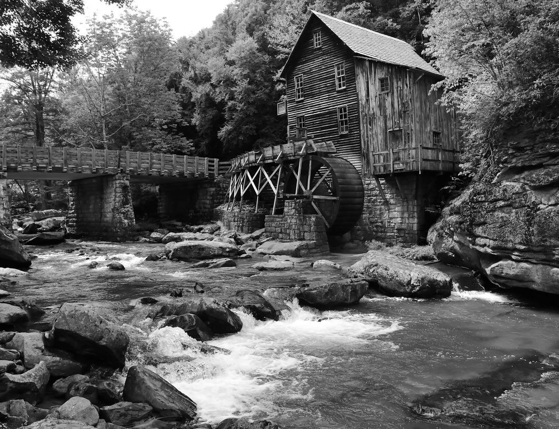 Noah Jigsaw Puzzle Giraffe with trees in the background at sunset, Serengeti National Park, Tanzania in black white 1000 pieces