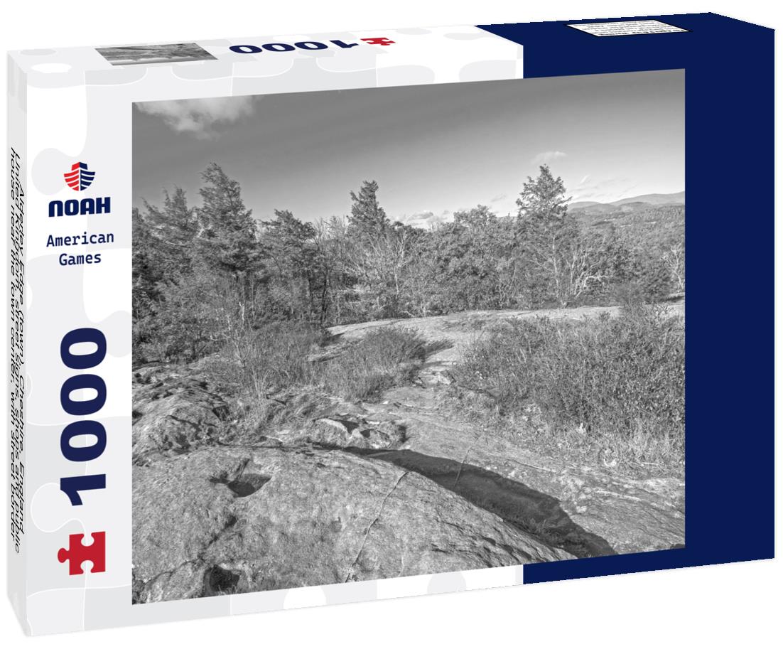 Noah Jigsaw Puzzle Alderley Edge (town), Cheshire, England, United Kingdom, street signs, shops and public house near the town center, with street border flowers and a cyclist in black white 1000 pieces