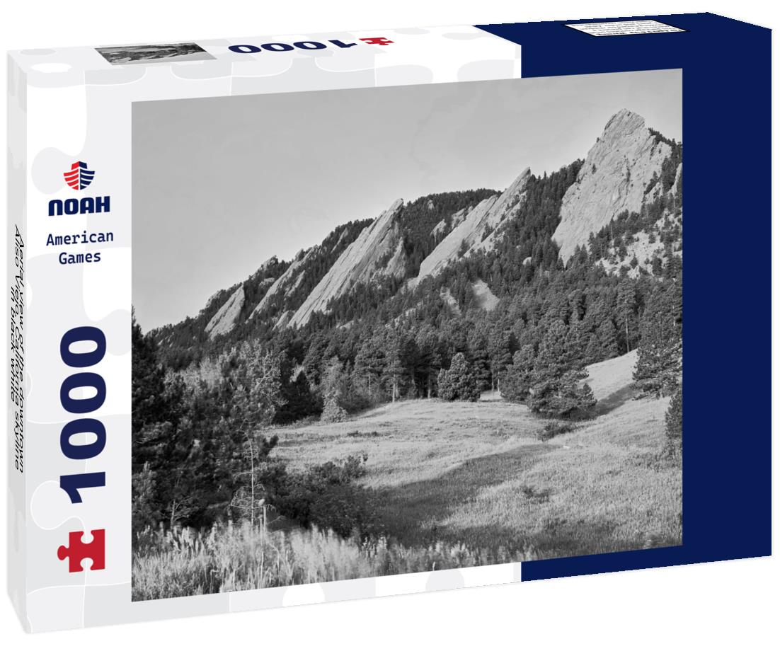 Noah Jigsaw Puzzle Aerial view of the downtown Aliso Viejo, California skyline in black white 1000 pieces