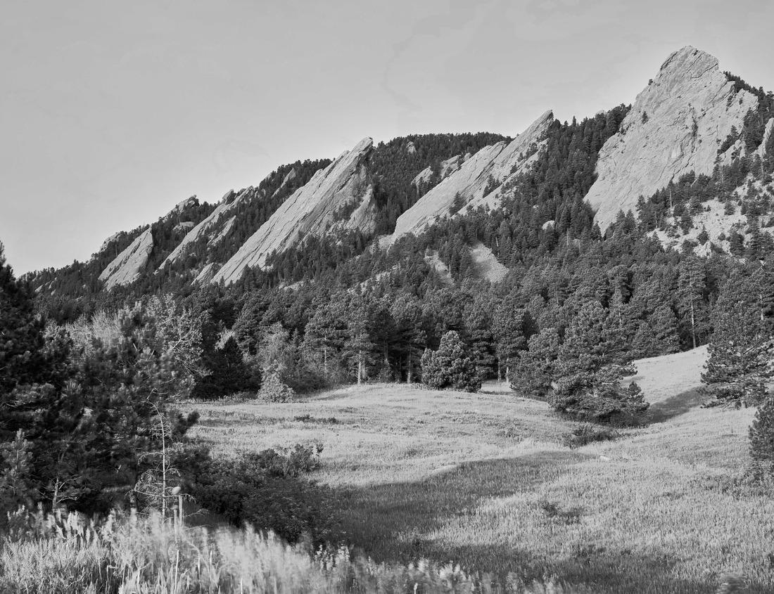 Noah Jigsaw Puzzle Aerial view of the downtown Aliso Viejo, California skyline in black white 1000 pieces