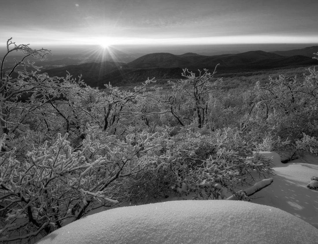 Noah Jigsaw Puzzle Glacier Bay National Park, Alaska, USA, World Natural Heritage in black white 1000 pieces