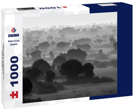 Noah Jigsaw Puzzle Aerial View of the Denver Suburb of Arvada in black white 1000 pieces