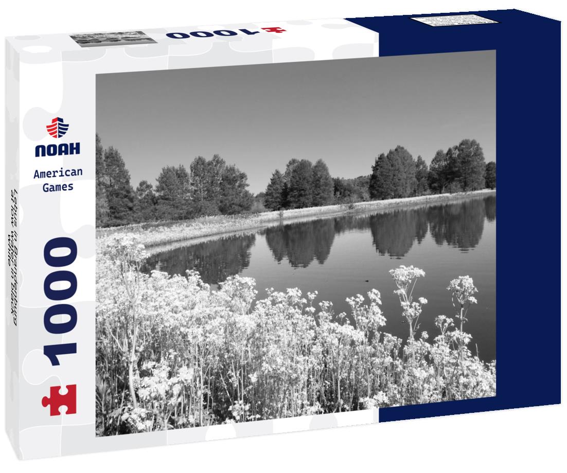 Noah Jigsaw Puzzle Lebus in Brandenburg at low water in black white 1000 pieces