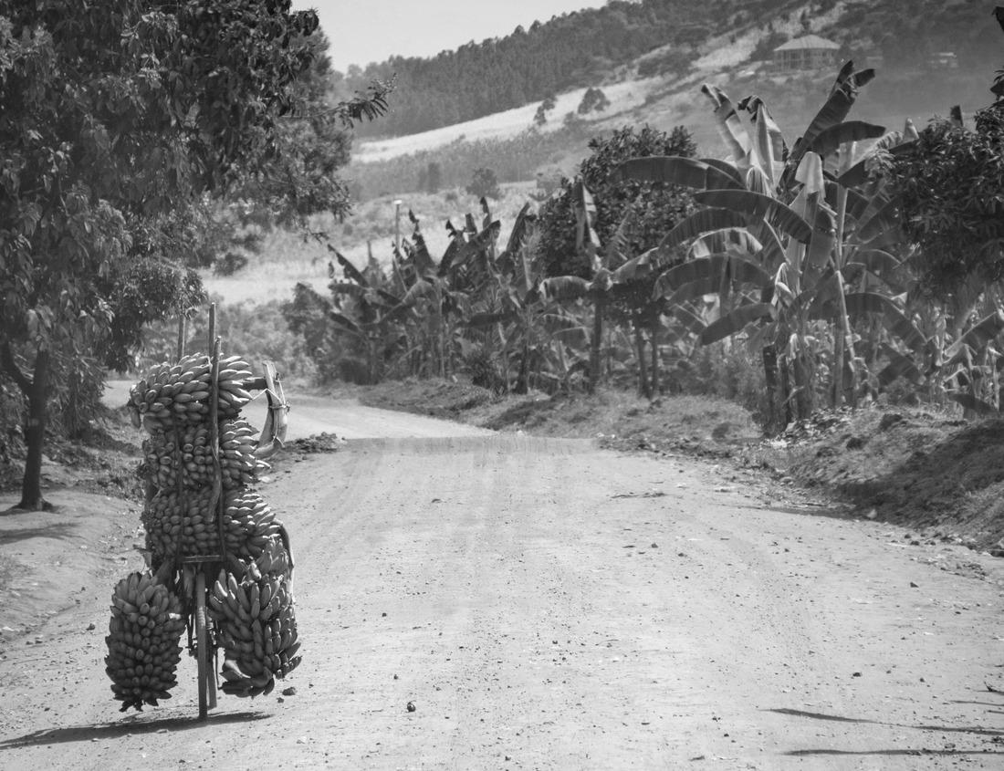 Noah Jigsaw Puzzle Nature's Window, Kalbarri National Park, Australia in black white 1000 pieces
