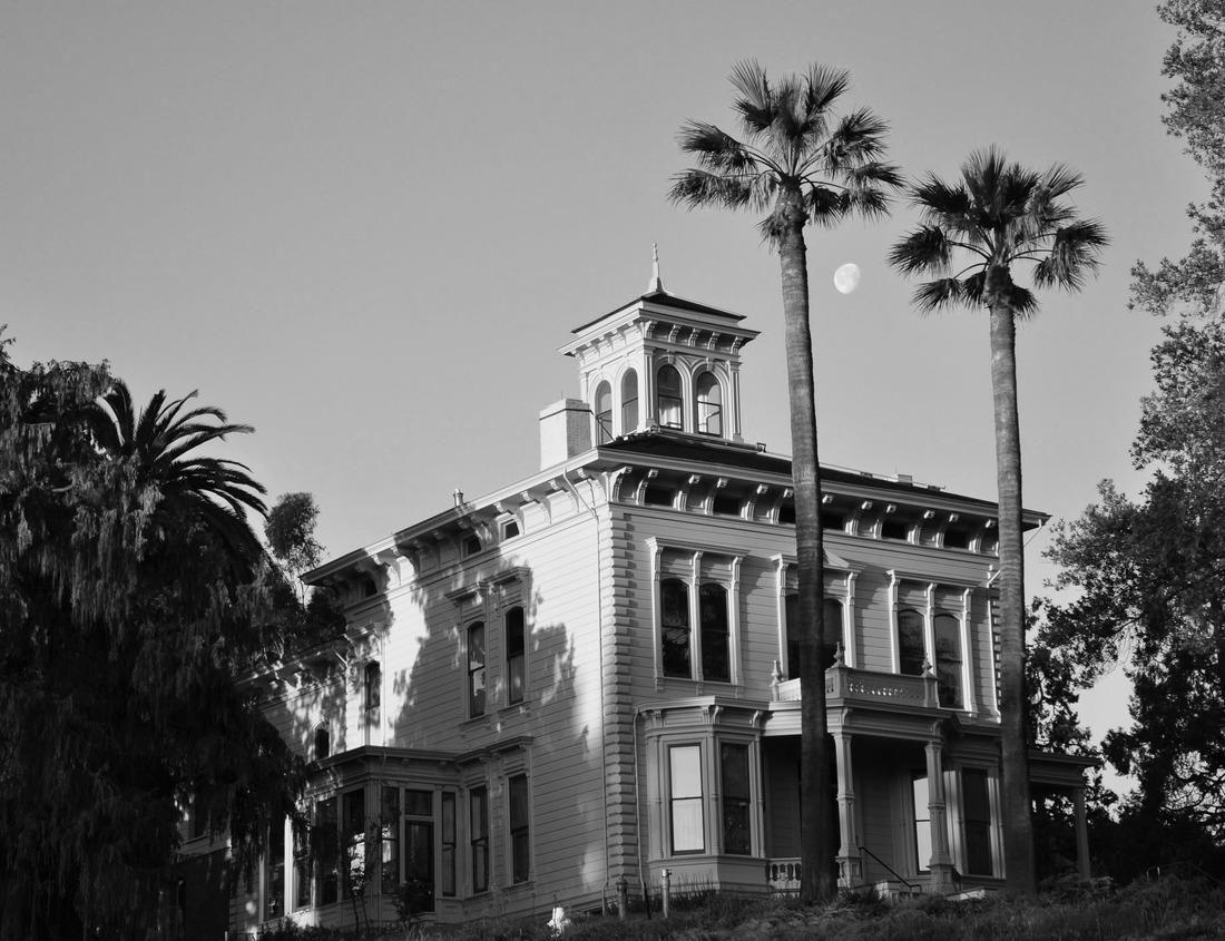 Noah Jigsaw Puzzle Aerial view Sunny Isles Beach Florida USA in black white 1000 pieces