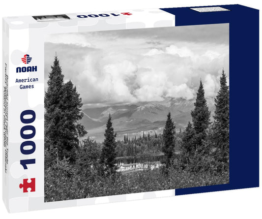 Noah Jigsaw Puzzle Beautiful sunset over the Trade Factory settlement in Pruszcz Gdanski, Poland in black white 1000 pieces