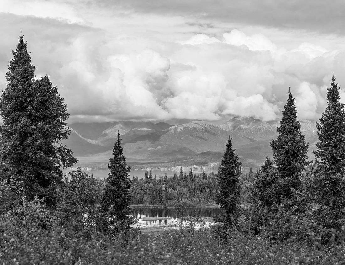 Noah Jigsaw Puzzle Beautiful sunset over the Trade Factory settlement in Pruszcz Gdanski, Poland in black white 1000 pieces