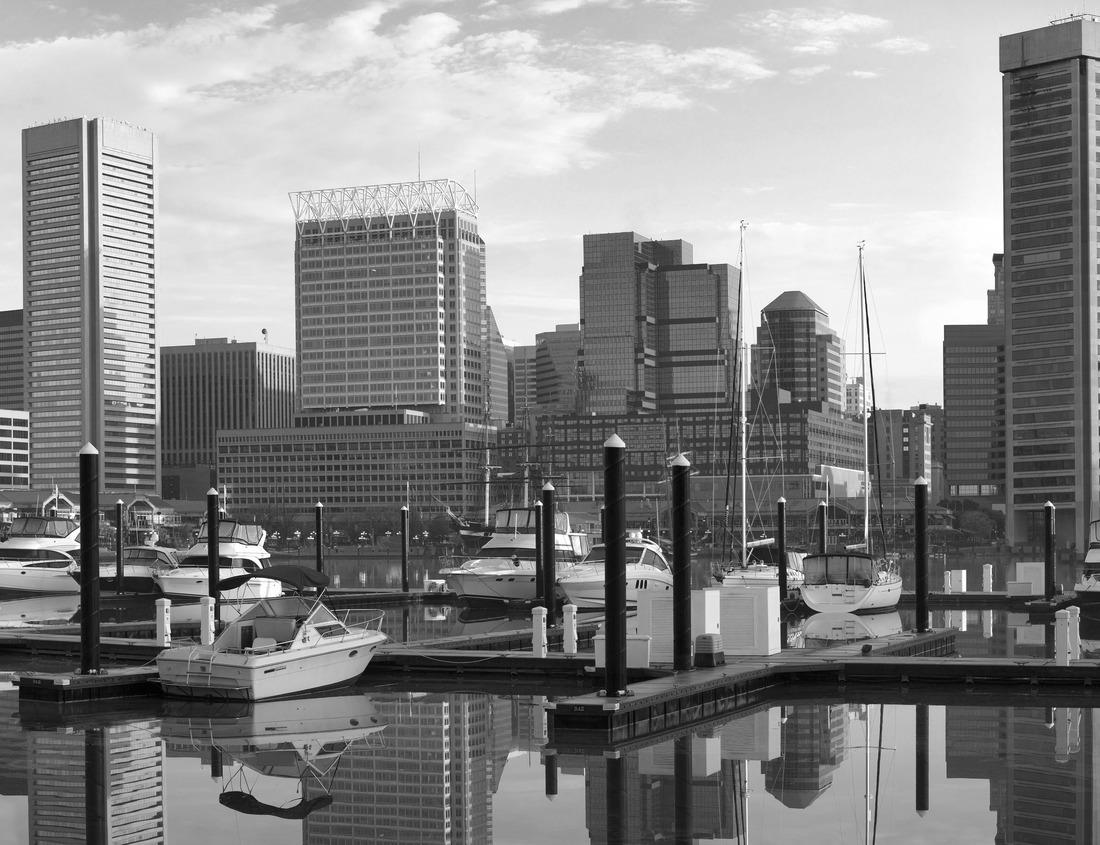 Noah Jigsaw Puzzle Aerial view of the Greely Colorado in summer in black white 1000 pieces