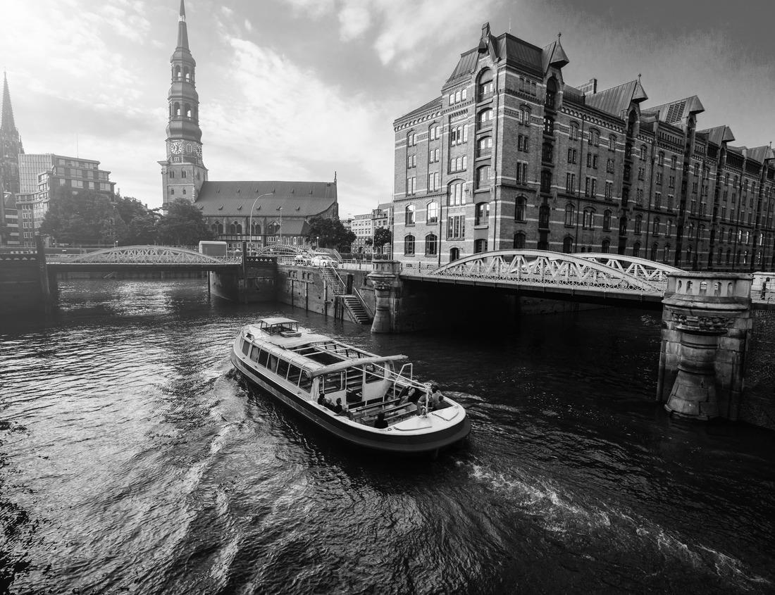 Noah Jigsaw Puzzle Flowers from Mankato, Minnesota Hubbard Gardens in black white 1000 pieces
