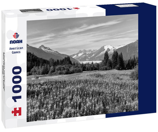 Noah Jigsaw Puzzle Louisiana swamp near New Orleans in black white 1000 pieces