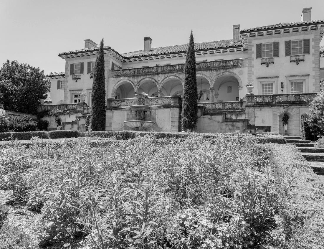 Noah Jigsaw Puzzle Deltona, Florida/USA: The park of the green springs is embedded in nature with green spring water in black white 1000 pieces