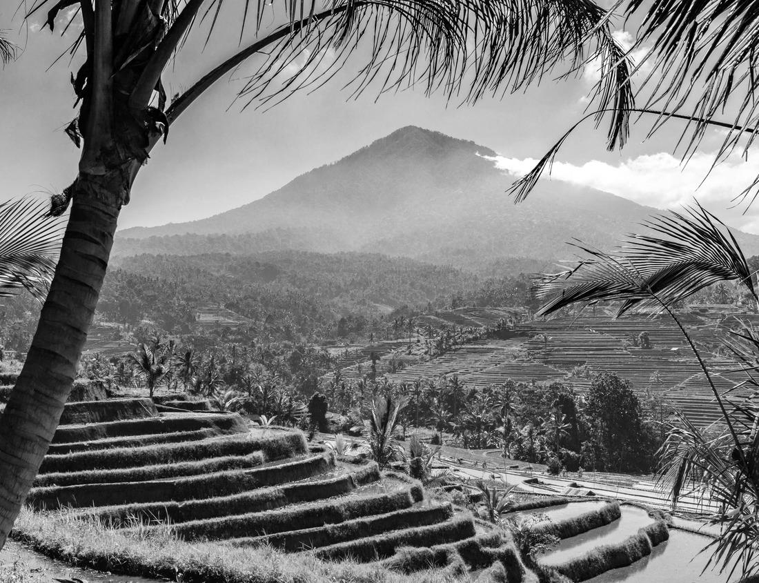 Noah Jigsaw Puzzle Great Barford packhorse Bridge and All Saints Church Tower. Bedfordshire England in black white 1000 pieces