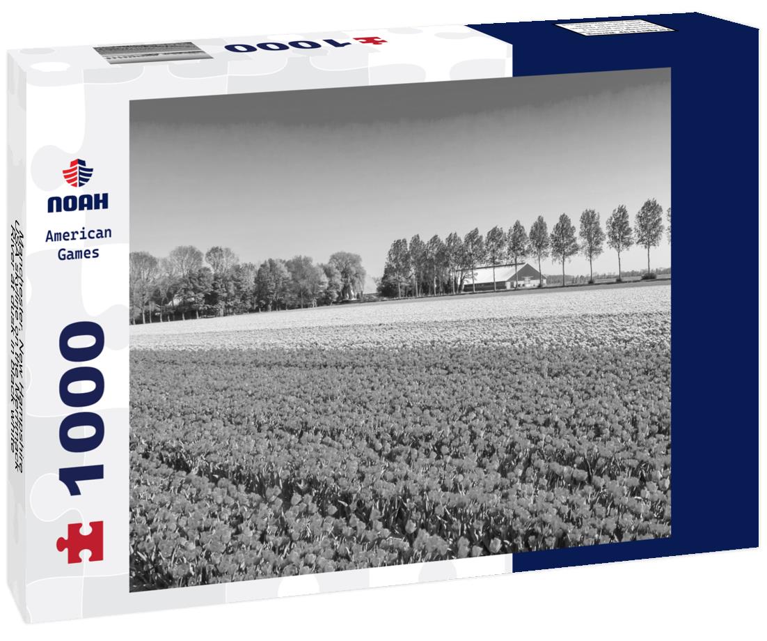 Noah Jigsaw Puzzle Manchester, New Hampshire, USA skyline on the Merrimack River at dusk in black white 1000 pieces